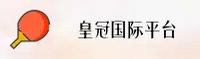使用指南与常见问题